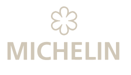 Afbeelding michelin logo